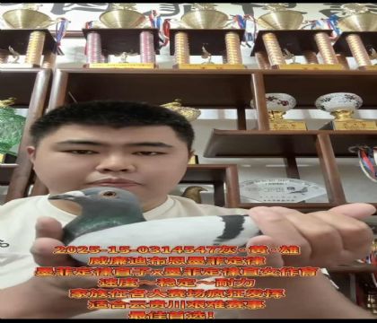 ɽ�����ǣ������ϲ�����ī�ƶ��ɡ�ֱ��X��ī�ƶ��ɡ�ֱŮ