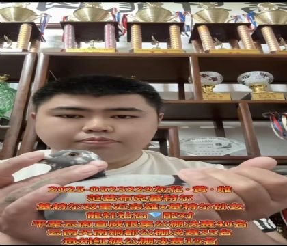 �����ȶ������ǲ��ˡ����ض�˫�ؽ����ۡ�X�����ض�����Ů