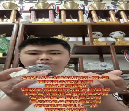 ����ʵսר�ң��Ǳ�����ŷֱ��X������ֱŮ����