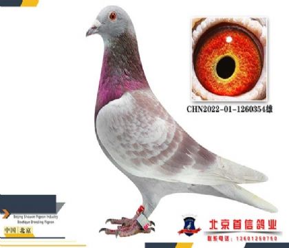 ����깫��񽱸�1260354