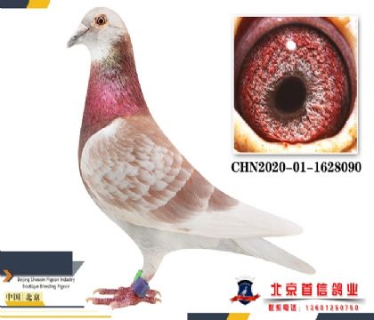 ����깫��񽱸�1628090