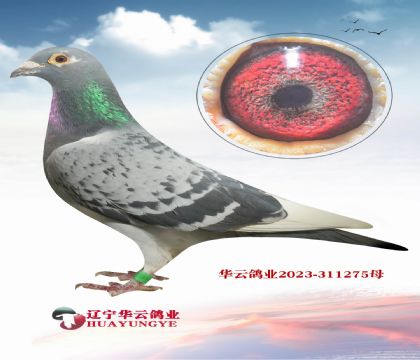 ��ķ��ĸ107����� �������·ǳ�����