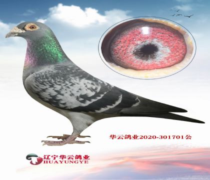 ��������԰�������ϰ���X�ش���740�����ֹ���Ů