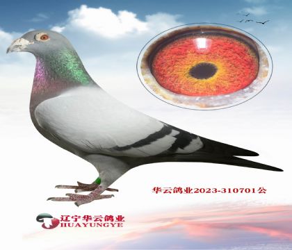 ������ �߹��X����֮�������ھ�