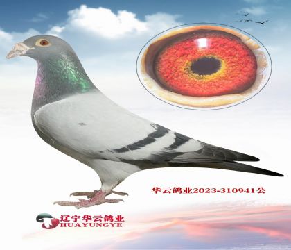 ����ɣ��ʿX�������⹫�����9��