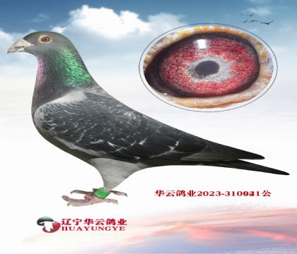 �ں�����X���������ĸ  ��������֮��