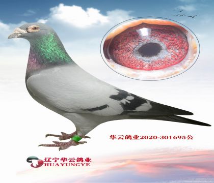 ��������԰�������ϰ���X�ش���740�����ֹ���Ů