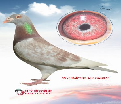 740ȫ�� ��ĸ006ֱ��X 740���ݻԻ;���19��ֱŮ