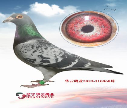 ����Ư�� ��ֵ�ǳ��߼��ָ�