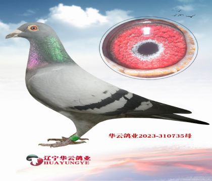 �����϶��ͻ�Ѫֱ��XֱŮ  ������������