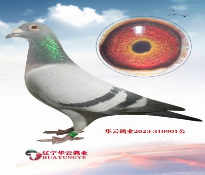 �������� ��ظ����ھ�X��������73���ƽ������ߡ�