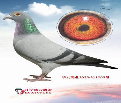 ����ɣ��ʿX�������⹫�����9��