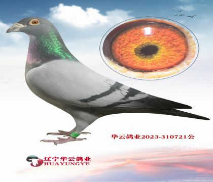 ��ƿ˵����ֹ� ����ƥ�˻��۵����