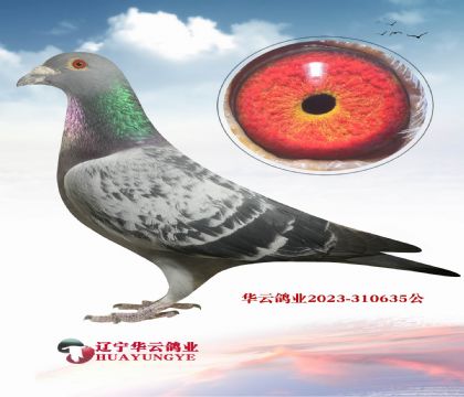 �����ع�ĳ������� ��������������� ����.��ɭ˹