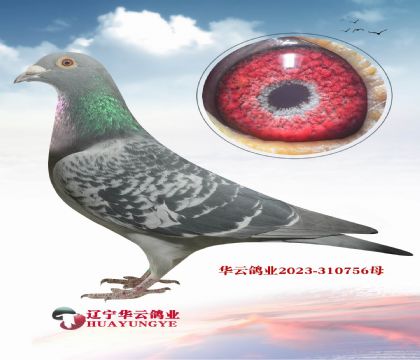 �����䷲�� ���ｱ����һ���