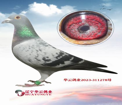 ��������Ư�� ���� ������ƥ��쫷硱