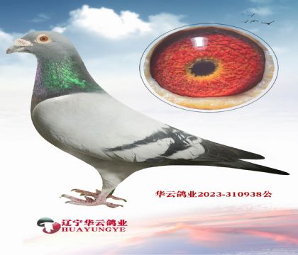 �����䷲�� ���ｱ����һ��� �ǳ��Ƽ�