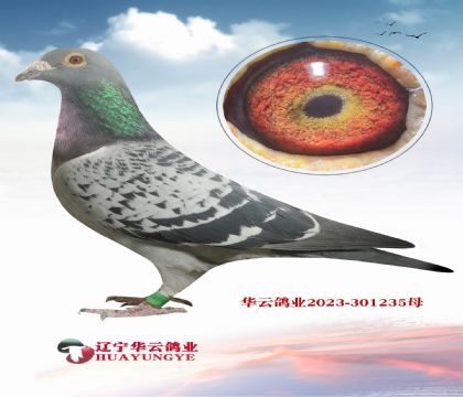 KBDB�����ھ�����ɯ��ֱ��X��ƿ�