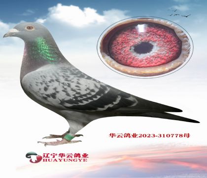 �ں�����X���������ĸ  ��������֮��