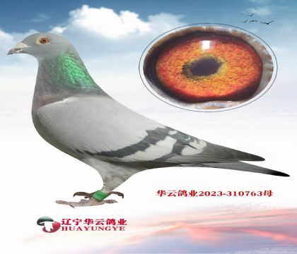 ������ �߹��X����֮�������ھ�