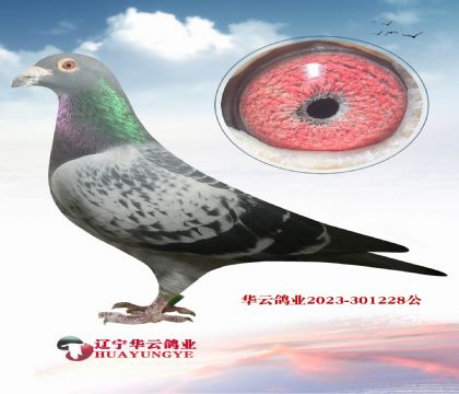 �������·��ӵķǳ�֮��