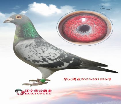 ����㶨��ĳ������½�ĸ