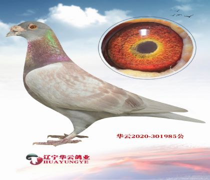 �ش���740ȫ�� ��ĸ006 ����Ӵ�