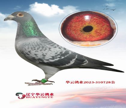 ǿ���ͷ��� �������������λ֮��