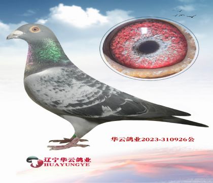 ��������ǰ���Ѫϵ ��Զ�򲻰ܵļ���