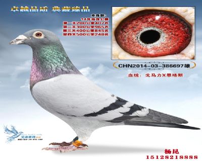 ���ݹ������248��