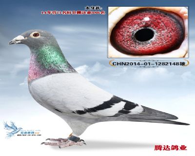 �����������386��