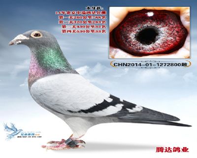 ��껹������33��