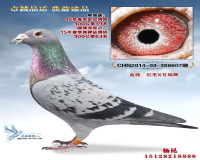 ������20��