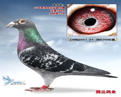 Ȫ�ι������189��