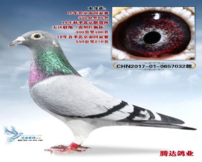 ������95��