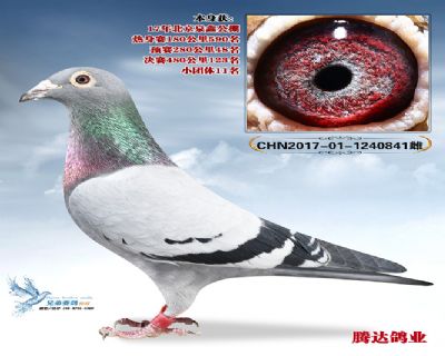 Ȫ�ι������123��