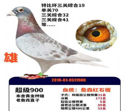 ����900���ƽ�����