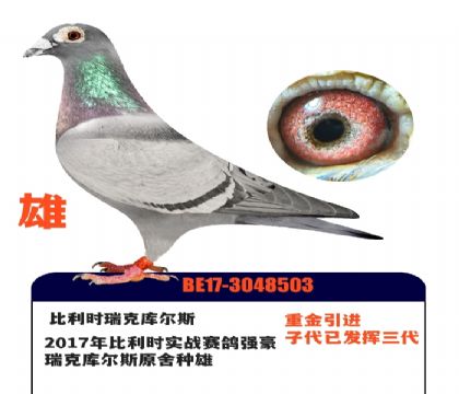 ����ʱ��˿��˹ԭ��