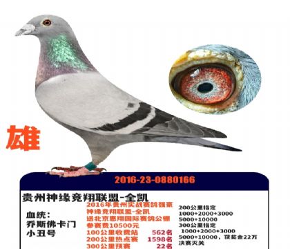 ����ȫ�������������22��