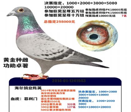 �ƽ����ִ�