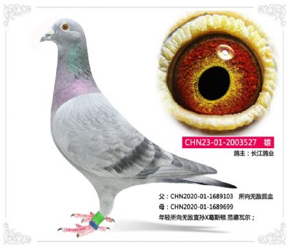 ������ҵ---�����޵�527   ��	