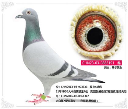 ������ҵ---����˹.�ղ���191   ��	