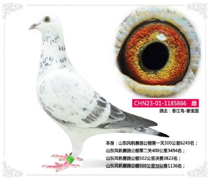 ɽ���緫���빫��560�����վ��1136��   ��	