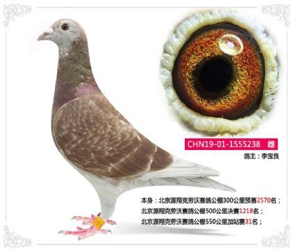 ����Դ����������빫��550�����վ��31��   ��