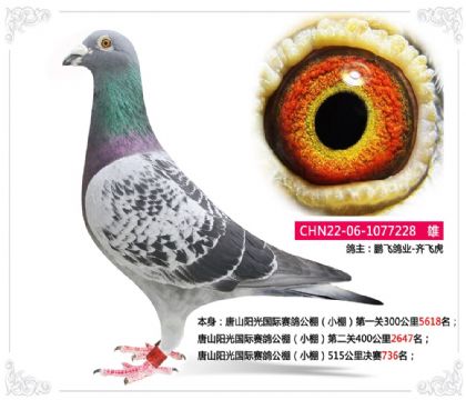 ��ɽ����������빫�С�515�������736��   ��