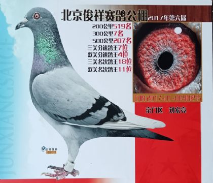 ��������������빫�����ظ���7��  ��