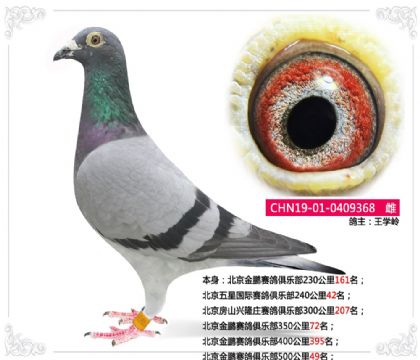 ��������������ֲ�500����49��  ��	