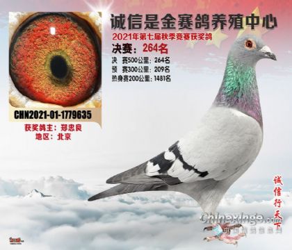 ɽ�������ǽ�������ֳ����500�������264��   ��	