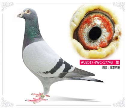 ������ά743   ��	