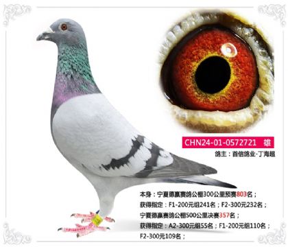 ���ĵ�Ӯ���빫��500�������357��   ��